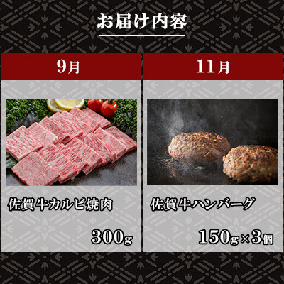 【発送月固定定期便】肉の定期便!厳選佐賀牛隔月お届け(奇数月)全6回