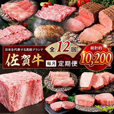 【発送月固定定期便】肉のプレミアム定期便!毎月佐賀牛をお届け!全12回
