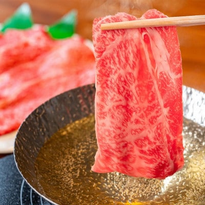 佐賀牛 肩ローススライス 500g(伊万里市)