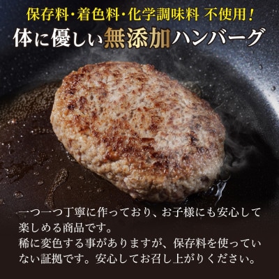 佐賀県産　がばいうまか!佐賀牛ハンバーグ　(150g×12個　計1.8kg)(伊万里市)