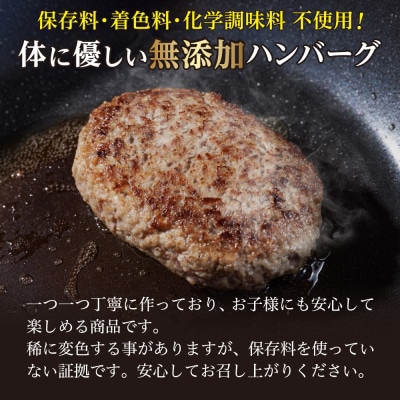 佐賀県産　がばいうまか!佐賀牛ハンバーグセット　(100g×9個&150g×6個)(伊万里市)