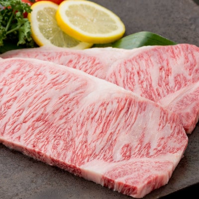 佐賀牛サーロインステーキ(2枚)&佐賀産和牛ウデ(しゃぶしゃぶ・すき焼き用)500g(伊万里市)