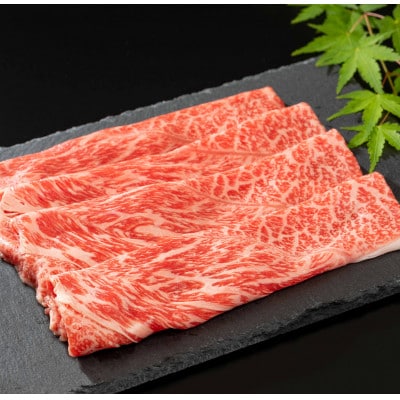 佐賀牛サーロインステーキ(2枚)&佐賀産和牛ウデ(しゃぶしゃぶ・すき焼き用)500g(伊万里市)