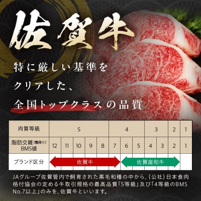 【佐賀牛】サーロインステーキ 500g (伊万里市)