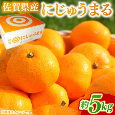 佐賀県産にじゅうまる 約5kg(伊万里市)