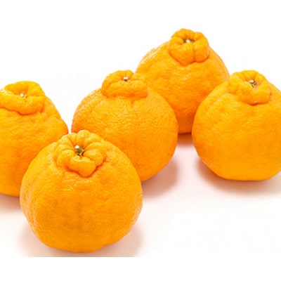佐賀県産不知火 約5kg(伊万里市)