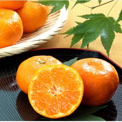 佐賀県産ハウスみかん 約1kg(伊万里市)
