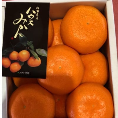 佐賀県産ハウスみかん 約1kg(伊万里市)