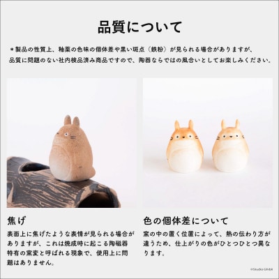 信楽焼・明山のとなりのトトロ　totoro-01　