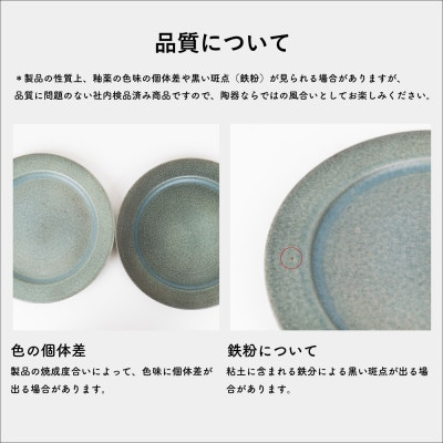 信楽焼・明山の　リムプレートM　淡青磁　2枚セット　s18-di14