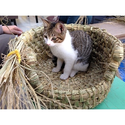 猫株式会社の作る 飯島村（現飯島町）産 手作り猫つぐら（猫ち