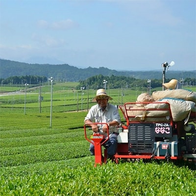 日常茶におすすめ　茶銘　近江路　1kg　【約333杯分】