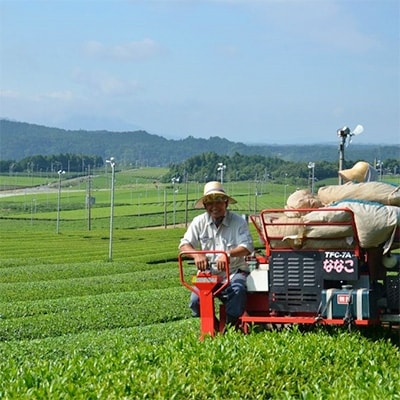 滋賀県産【はね出し玉露の茎茶】　100g×5　約166杯分