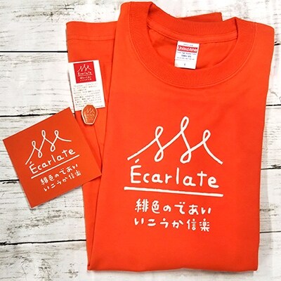 EcarlateオリジナルTシャツ(オレンジ・Lサイズ)、ステッカー、ピンバッチセット