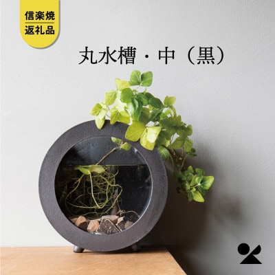 信楽焼・明山の　丸水槽・中(黒)aqua-01s