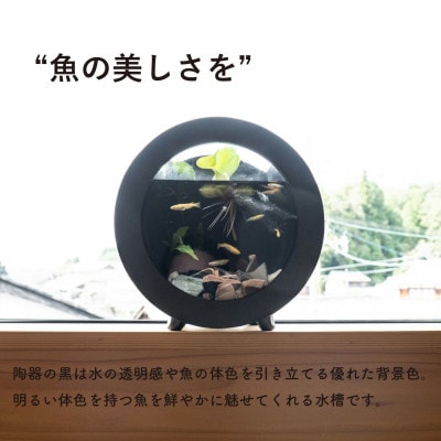 信楽焼・明山の　丸水槽・中(黒)aqua-01s