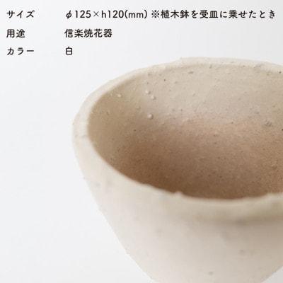 [HIBI] 植木鉢4号皿セット　白　hb_01w_set