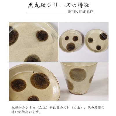 信楽焼 山逢い楕円長皿(大) サンマ皿【丸紋様】 ya-0004_marumonyou