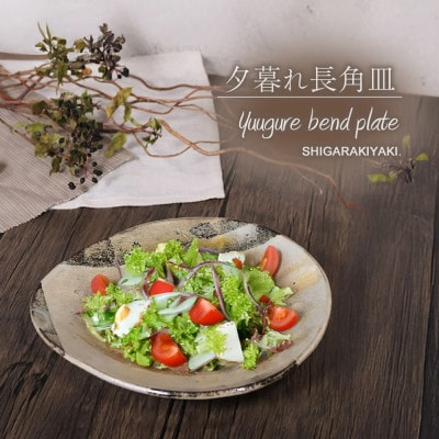 信楽焼 山逢いシリーズ たわみパスタ皿(大) 【夕暮れ】