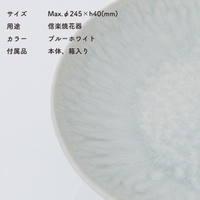[HIJICA]MELLOW_ディナープレート24cmブルーホワイトHJC-04BW