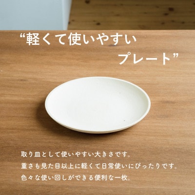 【信楽焼・明山】SHIROTSUCHI PLATE　2枚セット　ac-10