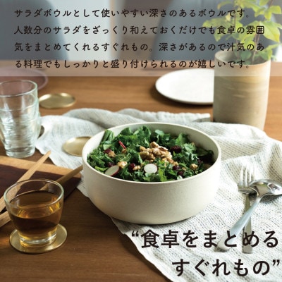 【信楽焼・明山】SHIROTSUCHI BOWL(L)　ac-01