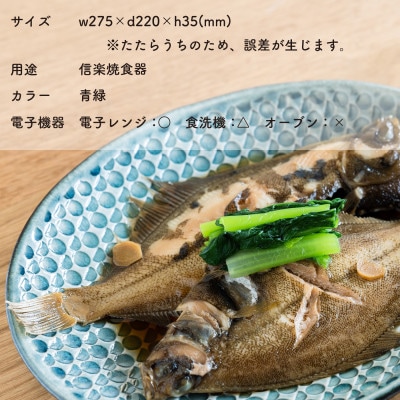 【信楽焼・明山】日と月　平皿　大(青緑)ht-13