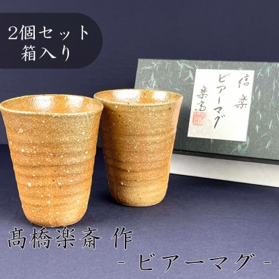 【高橋楽斎 作】信楽焼ビアーマグペア　mu-016