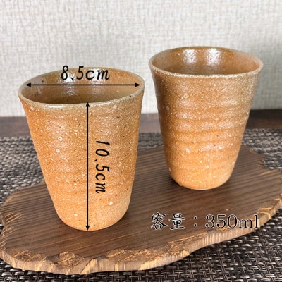 【高橋楽斎 作】信楽焼ビアーマグペア　mu-016