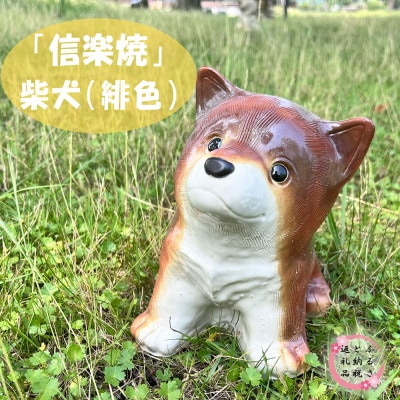 【信楽焼】信楽焼 豆柴犬(緋色)