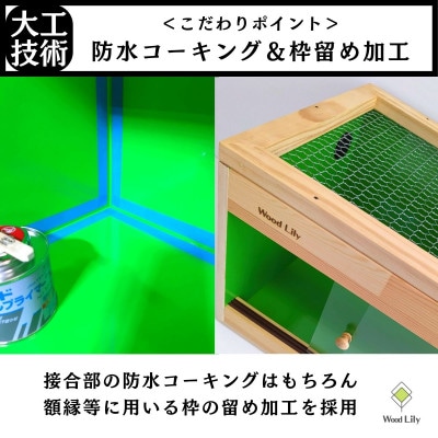 【歴40年大工監修】強固な爬虫類ケージ(グリーン)60×30×30cm