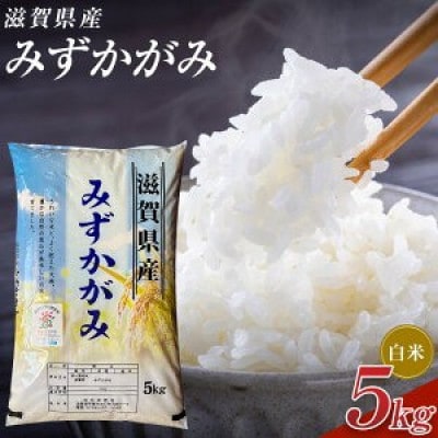 【令和7年産】近江米みずかがみ白米5kg