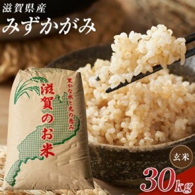 【令和7年産】近江米みずかがみ玄米30kg