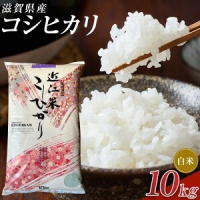 【令和7年産】近江米コシヒカリ白米10kg