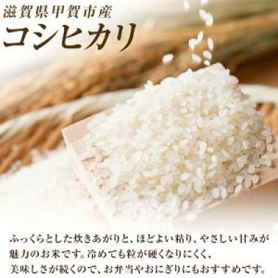 【令和7年産】近江米コシヒカリ白米10kg