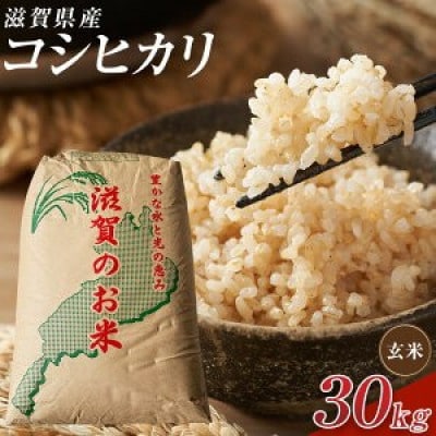 【令和7年産】近江米コシヒカリ玄米30kg