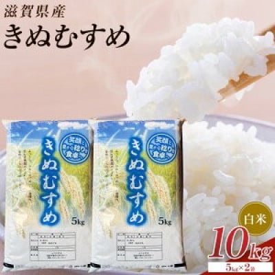 【令和7年産】近江米きぬむすめ白米10kg(5kg×2袋)