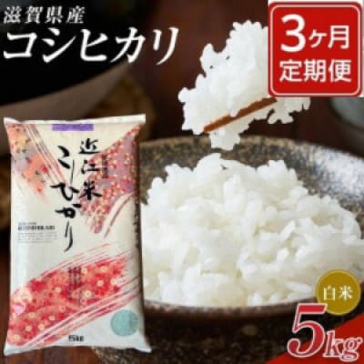 【毎月定期便】近江米コシヒカリ白米5kg全3回