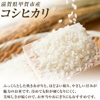 【毎月定期便】近江米コシヒカリ白米5kg全3回