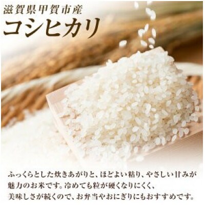 【毎月定期便】近江米コシヒカリ白米10kg全3回