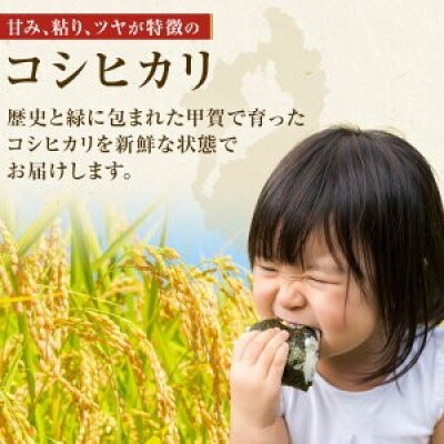【毎月定期便】近江米コシヒカリ白米10kg全3回