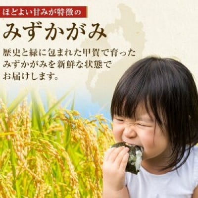 【毎月定期便】近江米みずかがみ白米5kg全3回