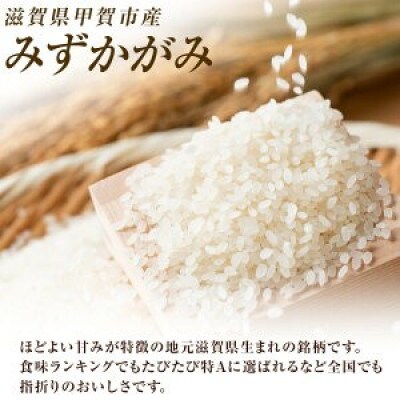 【毎月定期便】近江米みずかがみ白米10kg(5kg×2袋)全3回