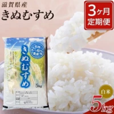 【毎月定期便】近江米きぬむすめ白米5kg全3回