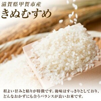 【毎月定期便】近江米きぬむすめ白米5kg全3回