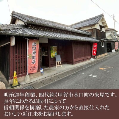 【毎月定期便】近江米きぬむすめ白米5kg全3回