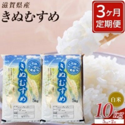 【毎月定期便】近江米きぬむすめ白米10kg(5kg×2袋)全3回