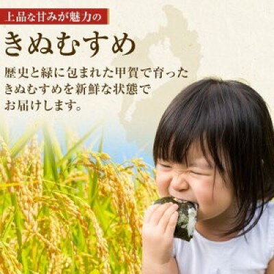 【毎月定期便】近江米きぬむすめ白米10kg(5kg×2袋)全3回