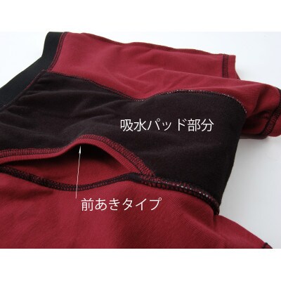 吸水付き ボクサーパンツ 10cc LLサイズ (赤パンツ) 尿漏れパンツ 男性用 (メンズ)