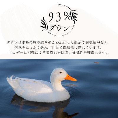 【超長綿100%60番手生地サテン織】羽毛布団クイーン二枚合わせダウン93%抗菌防臭防ダニ380dp